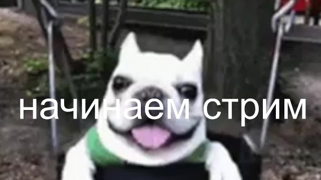 Майнкрафт "пробуждение сада" прохождение