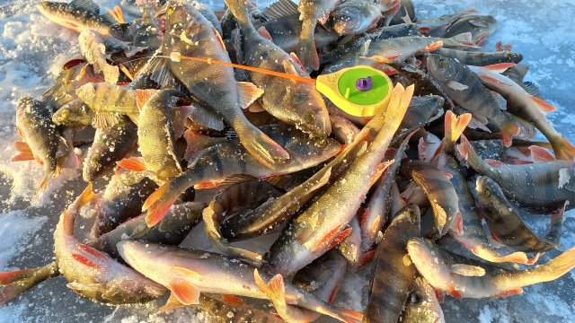 Оторвался по окуню. Белоярское водохранилище ЛЭП.