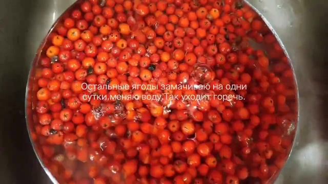 Рябиновое варенье на зиму.Рецепт.Лекарство из рябины.