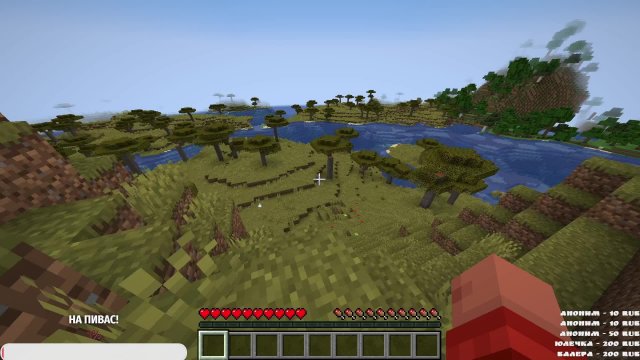 SOLO MINECRAFT