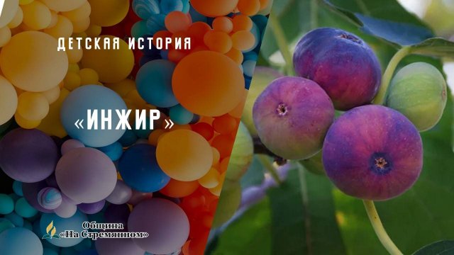 Инжир | Детская история | Христианские рассказы | Адвентисты Москвы