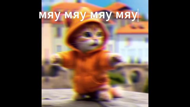 котик