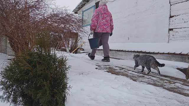 Жизнь женщины в селе/ Тяжело и радостно.БЛИНЫ.ЧЕБУРЕКИ.ЗЕФИР.