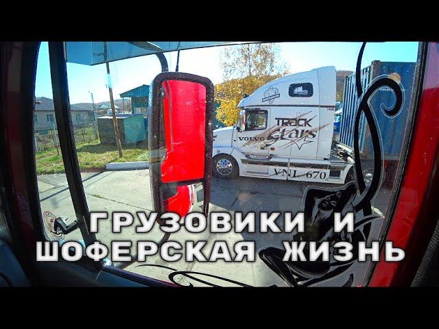 Альтернативный отдых дальнобойщика.