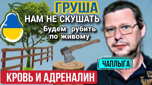 Альфа и омега, войны в Украине. 🍐 Осознания Сами. М.Чаплыга