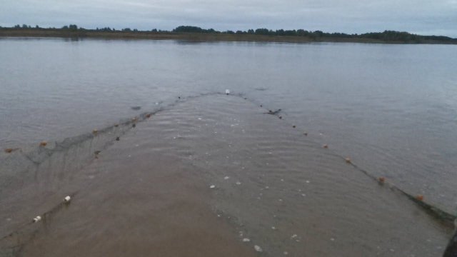 Лучший Замёт НЕВОДОМ / Рыбалка На НЕВОД/ В Гостях У Отшельника В Глухой Тайге!