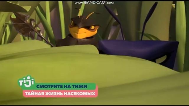 Заставка Далее И Анонс (TiJi 13.01.2020 17_14)