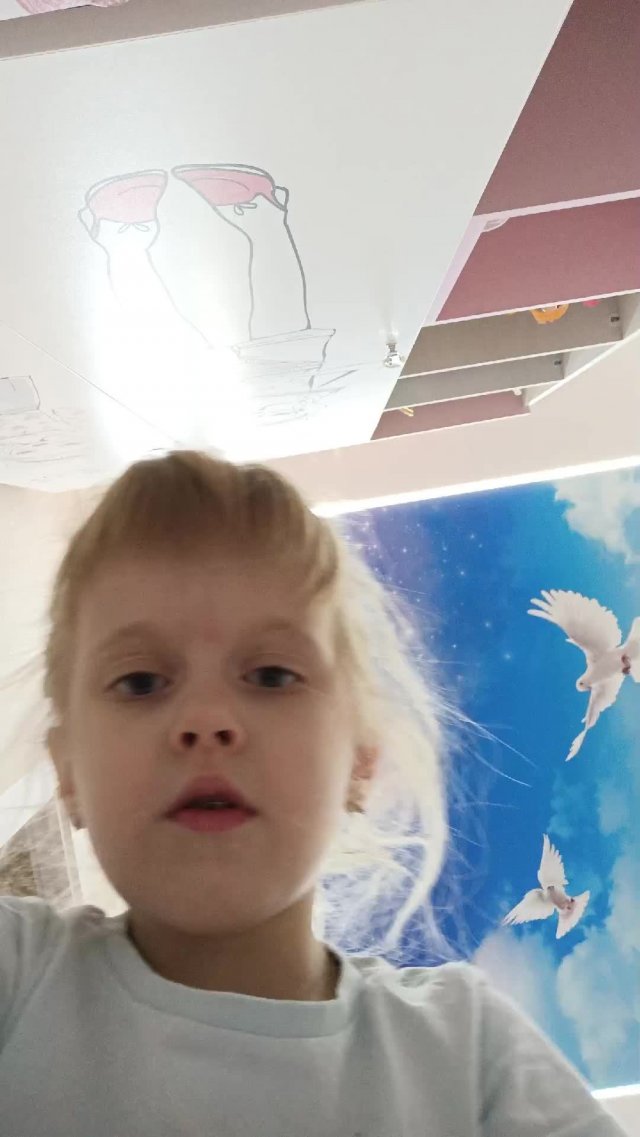 вечернее шоу