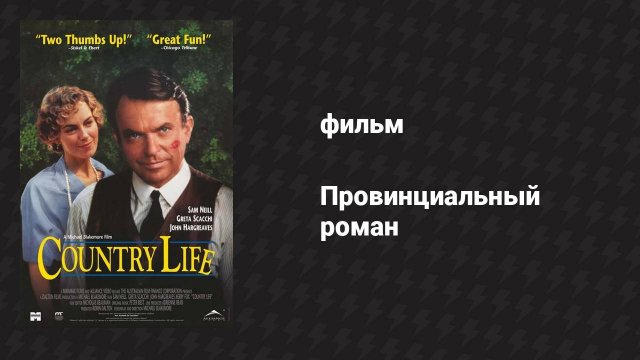 Провинциальный роман (фильм, 1994)