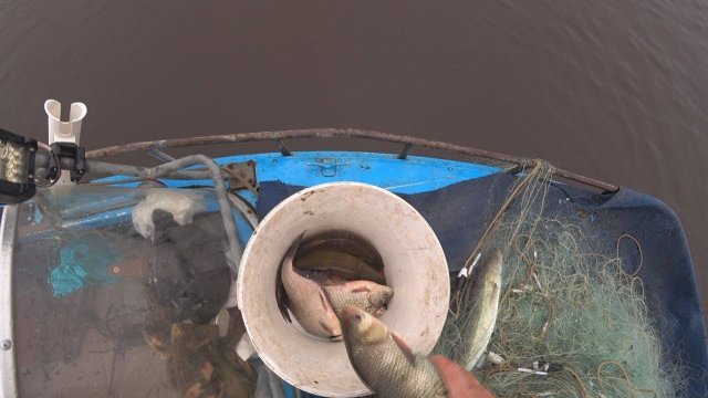 Рыбалка Сплавной Сетью | Рыбалка Сетями По Открытой Воде.