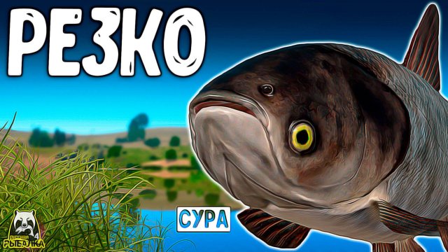 РУССКАЯ РЫБАЛКА 4. ДЕРЗКО И РЕЗКО МОГУТ ДЕРНУТЬ #рр4