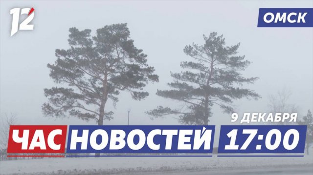Кристаллическая изморозь / Смелая белка / Изменилась схема движения. Новости Омска
