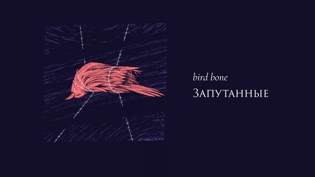 Bird Bone — Запутанные