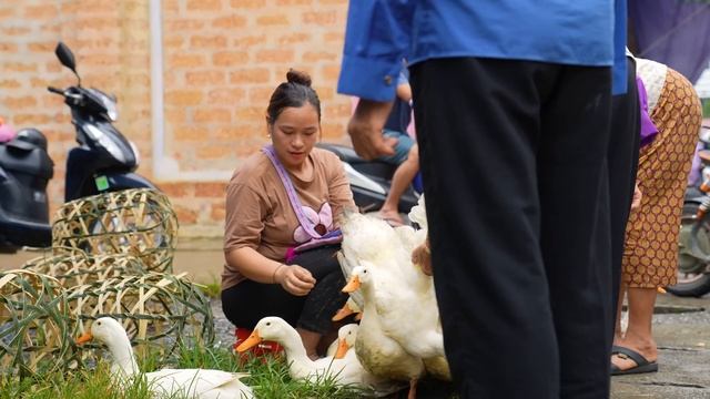 Harvest Ducks Goes To Market Sell - Handmade Bamboo Basket Weaving - Lý Thị Ca