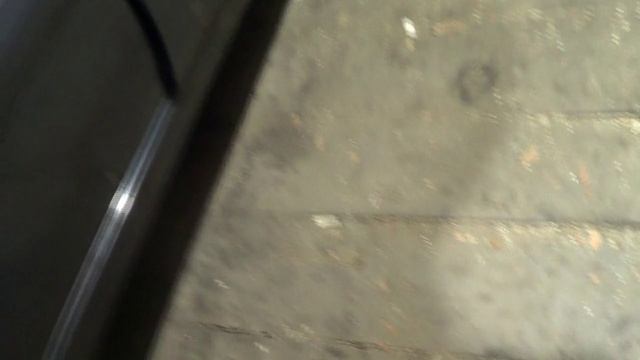 Калина 2015г.