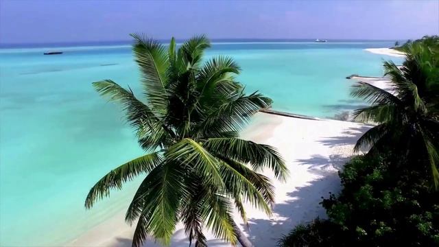 Umar Keyn -No No No/ #Умар Кейн-Нет Нет Нет / #romantic music/#summer music