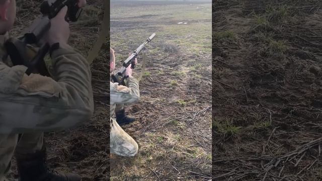 СВД #карабин #тигр #свд #винтовка 7.62/54