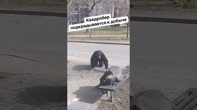ано