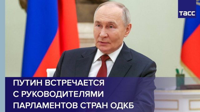 Путин встречается  с руководителями парламентов стран ОДКБ