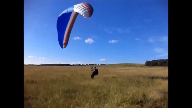 Первые шаги