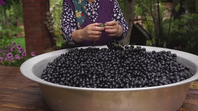 Kənd Həyatı.  Discover How the REAL Grape Syrup Preparation in Azerbaijan!