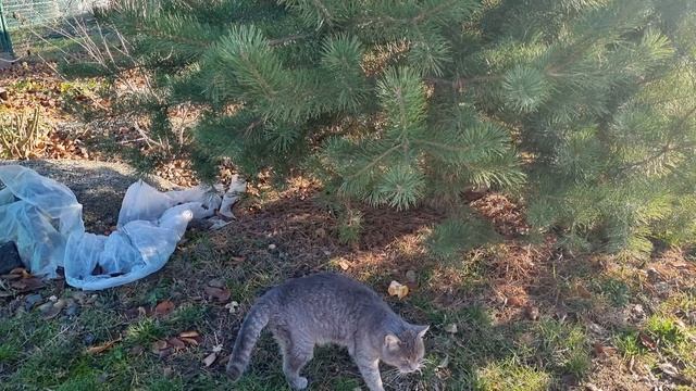 Всем тёплого, прекрасного дня!