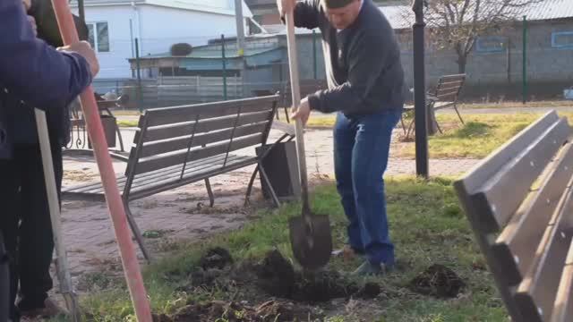 Первые саженцы высажены🌳