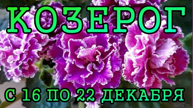 КОЗЕРОГ таро прогноз на неделю с 16 по 22 ДЕКАБРЯ 2024 года.