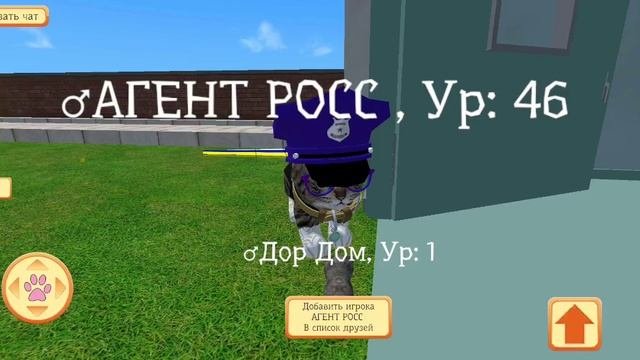 CatSim