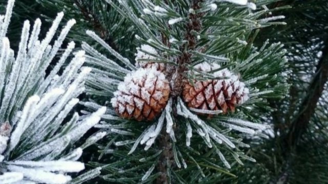 Обзор на сериал ОУ live. Муж купил парогенератор ко Дню нашей свадьбы. Готовлю обед на выбор.