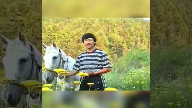 ок тулпор им бор еди