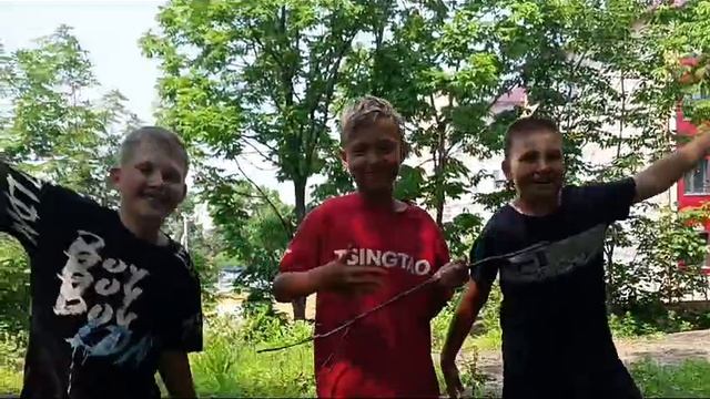 браво старс