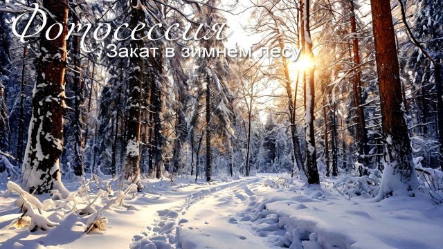 Закат в зимнем лесу