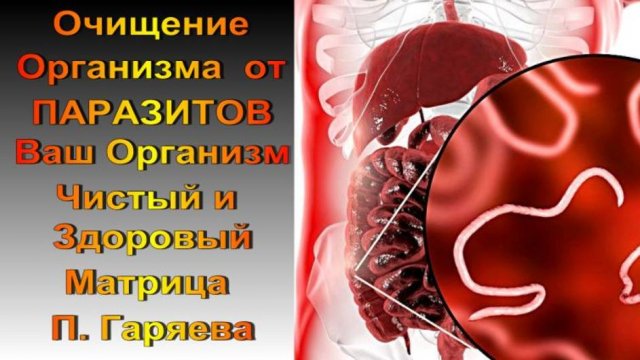 МОЩНАЯ АНТИПАРАЗИТАРНАЯ МАТРИЦА П. ГАРЯЕВА / ОЧИЩЕНИЕ ОРГАНИЗМА ОТ ПАРАЗИТОВ И ИХ ТОКСИНОВ