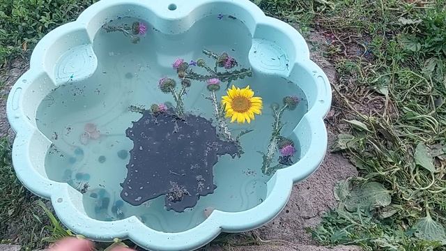 Чистка в потоке от нового и застарелого негатива, злобы, рассорок, перекладов.