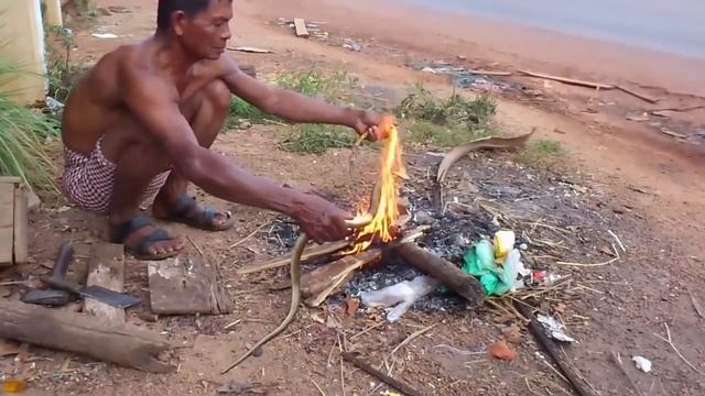 ЛОВЛЯ И ПРИГОТОВЛЕНИЕ ЗМЕИ