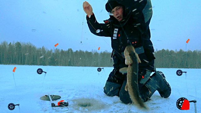 НАШЁЛ ЩЕДРОЕ ОЗЕРО С ГОЛОДНОЙ ЩУКОЙ И ОБАЛДЕЛ! Щука на жерлицы по первому льду. Зимняя рыбалка 2024