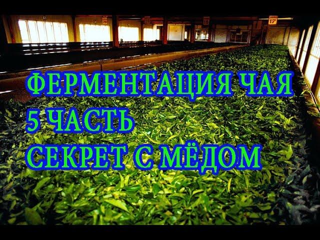 Ферментация -часть 5. Секрет с медом. Fermentation Инженер Андрей.