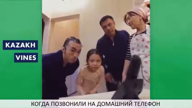 Лучшие Вайны RATBEK