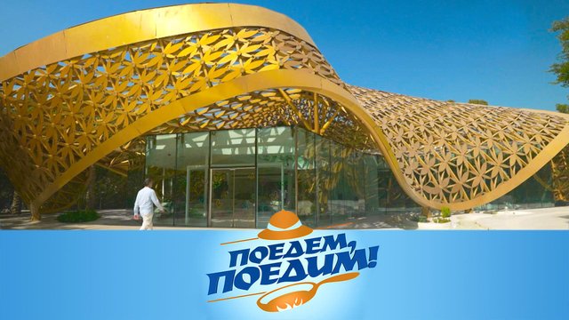 Шарджа: роддом для бабочек, по дюнам на багги, лунный ретрит и арабские лакомства | «Поедем, поедим»