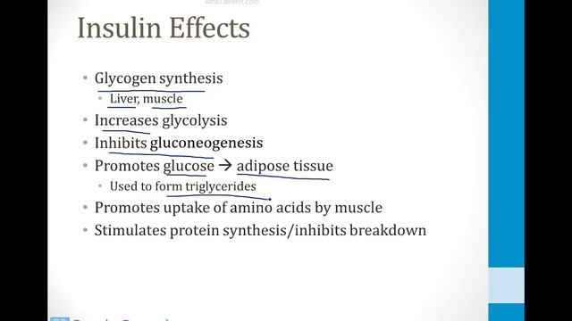 Biochemistry - 2. Metabolism - 13. Exercise and Starvation atf