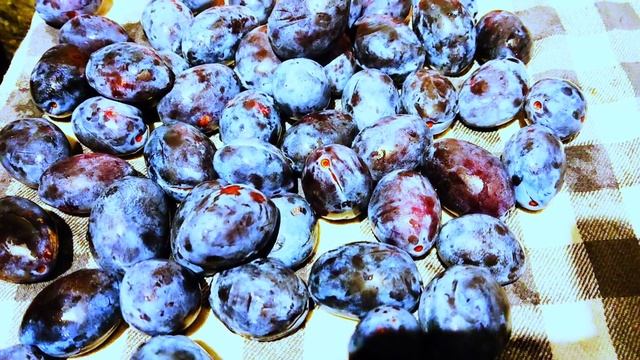 Сливовый пирог по рецепту Александра Селезнева.Быстро и вкусно.