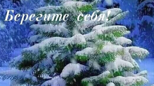 Откровенно о жизни