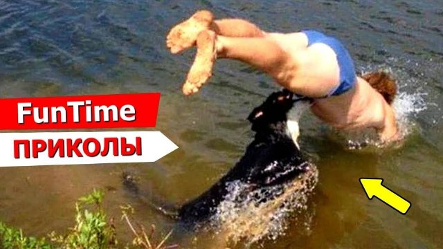 Я РЖАЛ ДО СЛЕЗ, ЛУЧШИЕ ПРИКОЛЫ 2024 Паркурщики. Лучшие приколы, смешные видео и фейлы