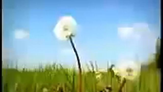 Мультфильм про божью коровку