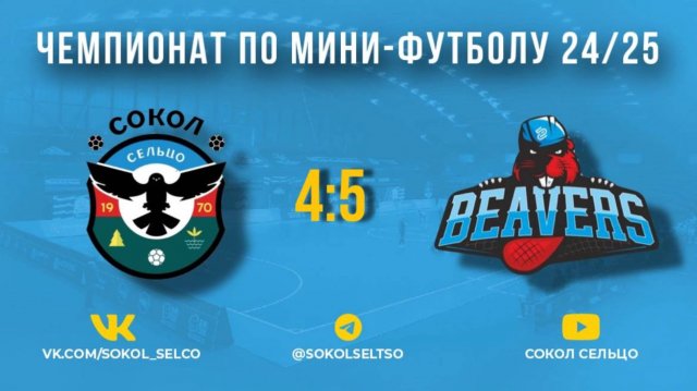 "Сокол" (Сельцо) — "Биверс" (Брянск) 15.12.24 обзор матча