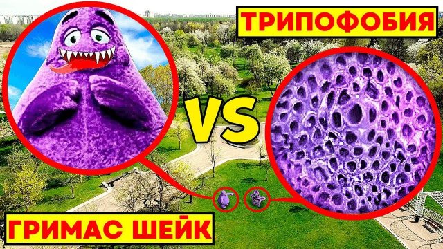 ТРИПОФОБИЯ vs ГРИМАС ШЕЙК **эпичное столкновение**