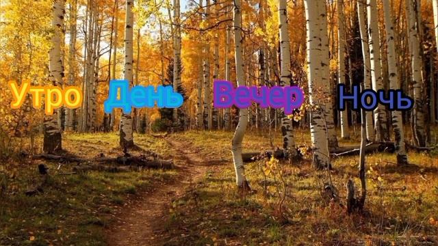 утро, день, вечер, ночь (боня)