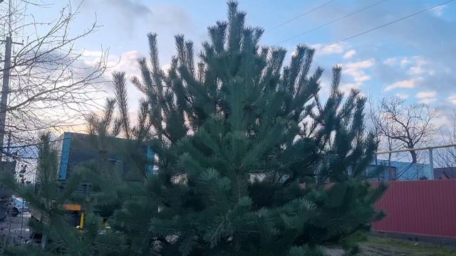 Доброго,южного утра!