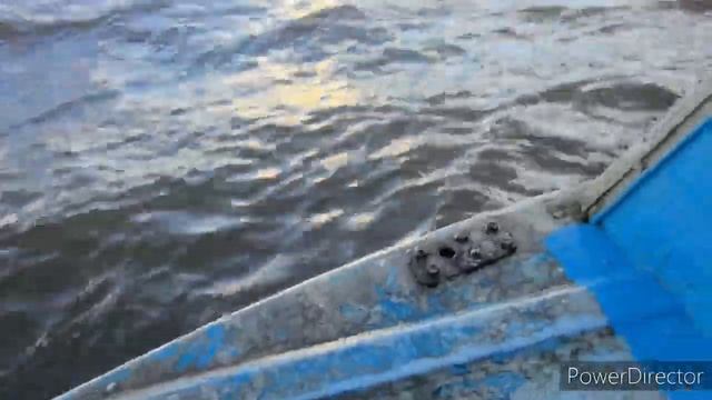 Аборигенка. Рыбалка на Амуре. Сильный шторм. Последствие шторма, утонул рыбак. Осенняя путина 2024.